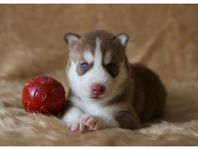 №4 �������