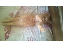 WP 20150924 10 37 57 Pro.jpg