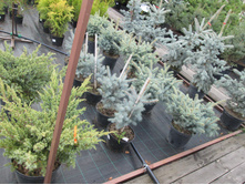 �.��� ����2400-�.����2900-�.��.�������3800-�����4500