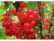 ��������� ������ �2-190�