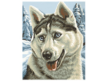 9240393 ����� ���� 1058 ���..jpg