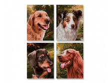 9340594 ������ ����, 18�24 �� ���� 1741 ���.jpg