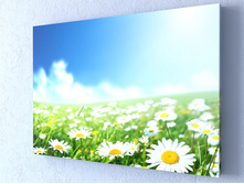 ���������� ����.jpg