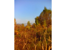 IMG 20150923 141418.jpg