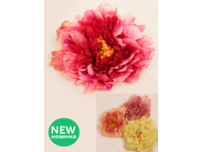 406/0236� ������ ����� (12��/��)