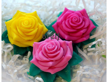 ���� �� ������� ���� 120 ��� 1 �� .jpg