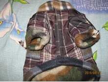 ������ 009.jpg