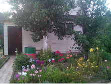 IMG 20150802 202954.jpg