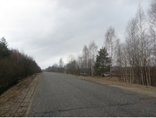 5532b2cea860a img0006.JPG