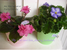 ��, ��������(������) ������ �������� � Party Cloudy