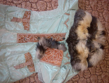IMG 20150910 155538.jpg