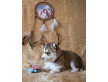 №2 �������