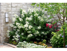 ��������� ��� ������ �9-214�