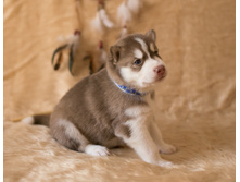 №3 �������