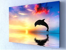 ������� �� ������.jpg