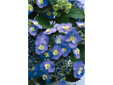 ��������� �������� �������-280�