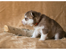 №2 �������