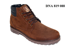 2550�. DNA 819 088 (�� ������)