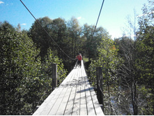 "������� ������"