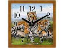 338.����: 235 ���.