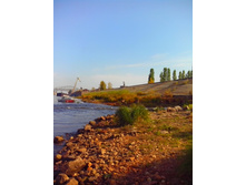 IMG 20150923 140706.jpg