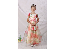 �-384 ������.JPG