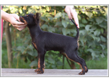 4 ������