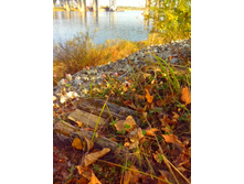 IMG 20150923 132032.jpg