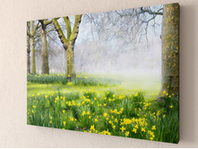 �������� � ����.jpg