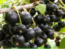 ��������� �������-180�.jpg