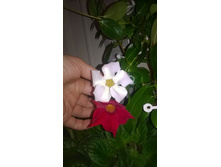 WP 20150821 20 48 27 Pro.jpg