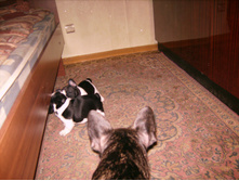 IMG 0119.JPG