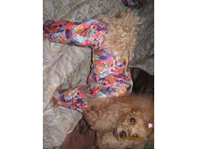 ������ 004.jpg