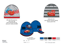 Cars	97102 ���/���_167 ���_���� �� ����� 117 ���