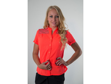 ������ BB-01.jpg