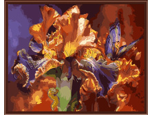 ������ ����� �������: GL8041 ���� 430 ���