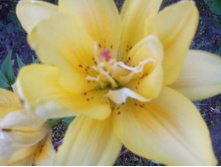 IMG 20150802 202419.jpg