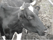 �������� ������