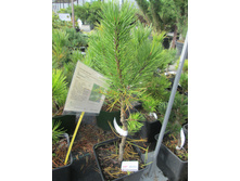 �.�.����������1400