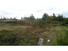 ������� 10 ����� ��� ��������