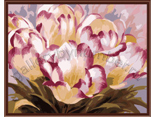 ��������, ������� �����������. �������: GL6494  505 ������