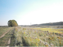 ������ � �����������