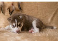 №3 �������