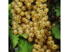 ��������� ����� �������.-157