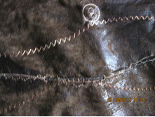 IMG 1489.JPG