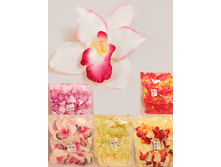 406/0024� ������ ������� ���������(24�� � ��-��)