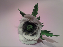 20150915 002704.jpg
