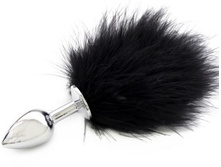 ������ ������������� � �������� ���������, ���� ������