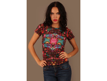 �������� �������: ����-0000-0042