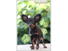 3 ������